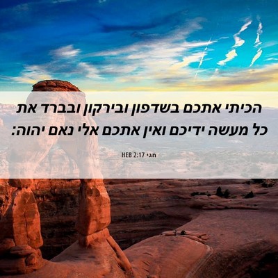 Picture 06 - חגי 2:17 HEB - הכיתי אתכם בשדפון ובירקון - Bible Verse Picture