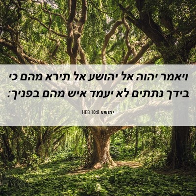 Picture 06 - יהושע 10:8 HEB - ויאמר יהוה אל יהושע אל תירא - Bible Verse Picture