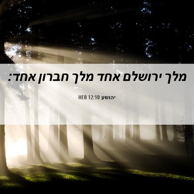Picture 06 - יהושע 12:10 HEB - מלך ירושלם אחד מלך חברון - Bible Verse Picture