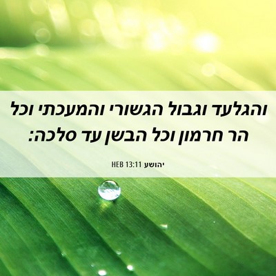 Picture 06 - יהושע 13:11 HEB - והגלעד וגבול הגשורי - Bible Verse Picture