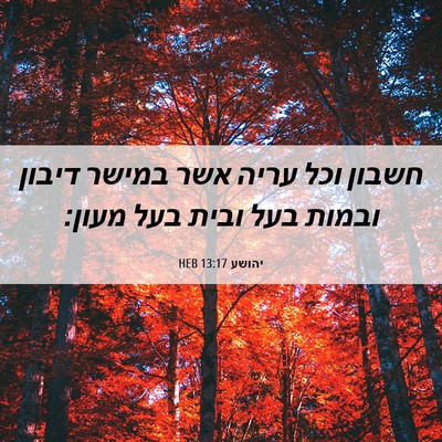Picture 06 - יהושע 13:17 HEB - חשבון וכל עריה אשר במישר - Bible Verse Picture