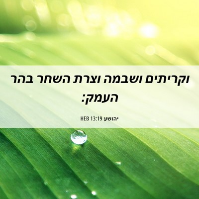 Picture 06 - יהושע 13:19 HEB - וקריתים ושבמה וצרת השחר - Bible Verse Picture