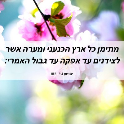 Picture 06 - יהושע 13:4 HEB - מתימן כל ארץ הכנעני ומערה - Bible Verse Picture