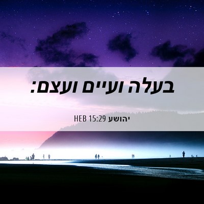 Picture 06 - יהושע 15:29 HEB - בעלה ועיים - Bible Verse Picture