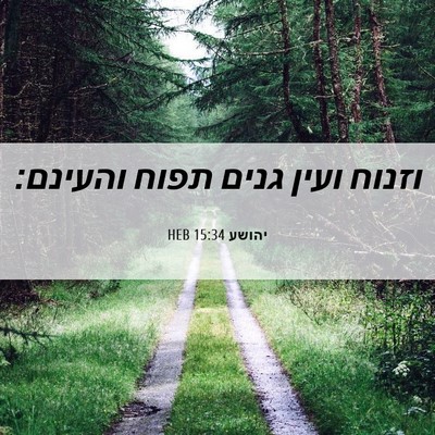 Picture 06 - יהושע 15:34 HEB - וזנוח ועין גנים תפוח - Bible Verse Picture