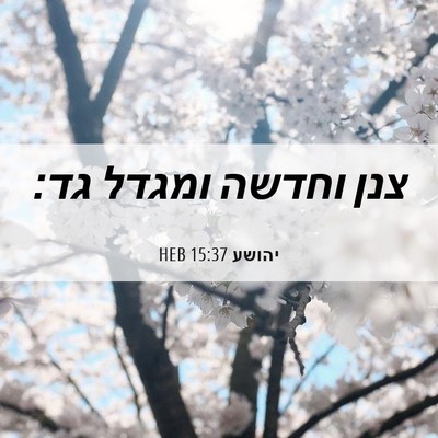 Picture 06 - יהושע 15:37 HEB - צנן וחדשה ומגדל - Bible Verse Picture