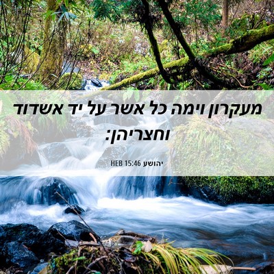 Picture 06 - יהושע 15:46 HEB - מעקרון וימה כל אשר על יד - Bible Verse Picture
