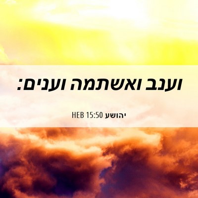 Picture 06 - יהושע 15:50 HEB - וענב ואשתמה - Bible Verse Picture