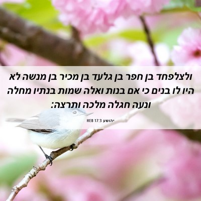 Picture 06 - יהושע 17:3 HEB - ולצלפחד בן חפר בן גלעד בן - Bible Verse Picture