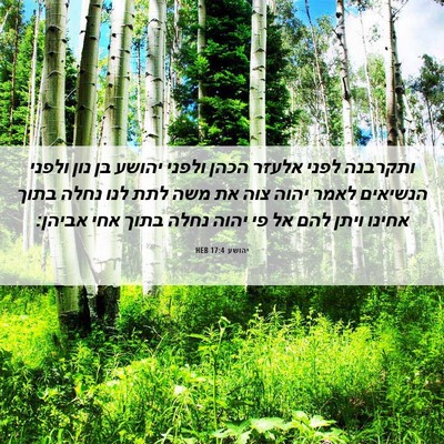 Picture 06 - יהושע 17:4 HEB - ותקרבנה לפני אלעזר הכהן - Bible Verse Picture