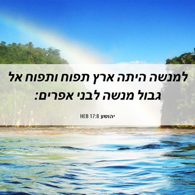 Picture 06 - יהושע 17:8 HEB - למנשה היתה ארץ תפוח ותפוח - Bible Verse Picture