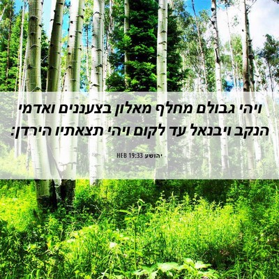 Picture 06 - יהושע 19:33 HEB - ויהי גבולם מחלף מאלון - Bible Verse Picture