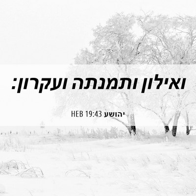 Picture 06 - יהושע 19:43 HEB - ואילון ותמנתה - Bible Verse Picture