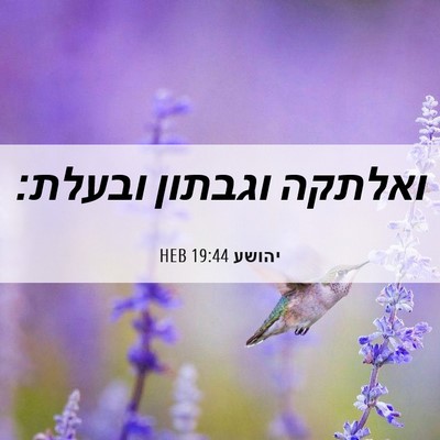 Picture 06 - יהושע 19:44 HEB - ואלתקה וגבתון - Bible Verse Picture