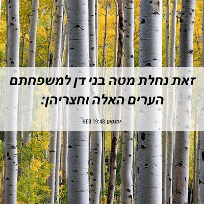 Picture 06 - יהושע 19:48 HEB - זאת נחלת מטה בני דן למשפחתם - Bible Verse Picture