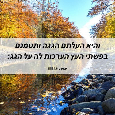 Picture 06 - יהושע 2:6 HEB - והיא העלתם הגגה ותטמנם - Bible Verse Picture