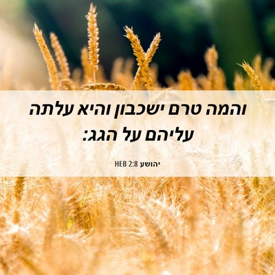 Picture 06 - יהושע 2:8 HEB - והמה טרם ישכבון והיא עלתה - Bible Verse Picture