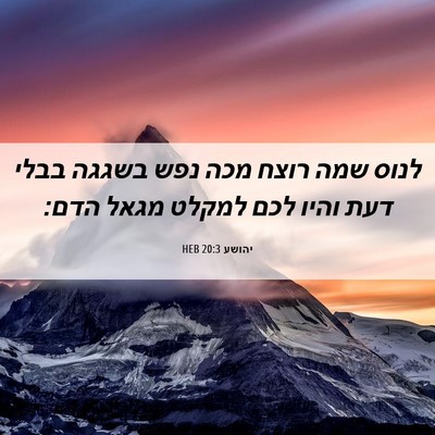 Picture 06 - יהושע 20:3 HEB - לנוס שמה רוצח מכה נפש בשגגה - Bible Verse Picture
