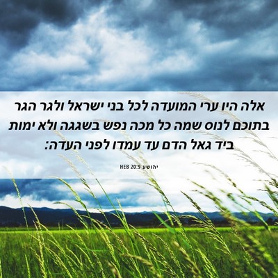 Picture 06 - יהושע 20:9 HEB - אלה היו ערי המועדה לכל בני - Bible Verse Picture