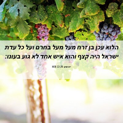 Picture 06 - יהושע 22:20 HEB - הלוא עכן בן זרח מעל מעל - Bible Verse Picture