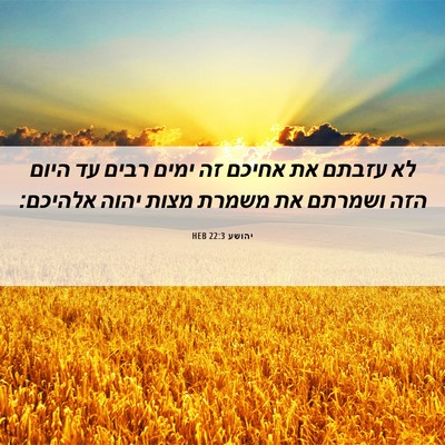 Picture 06 - יהושע 22:3 HEB - לא עזבתם את אחיכם זה ימים - Bible Verse Picture
