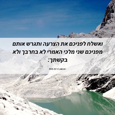 Picture 06 - יהושע 24:12 HEB - ואשלח לפניכם את הצרעה - Bible Verse Picture