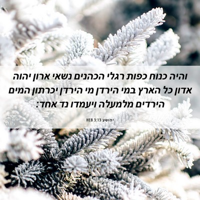 Picture 06 - יהושע 3:13 HEB - והיה כנוח כפות רגלי הכהנים - Bible Verse Picture