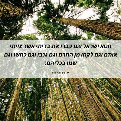 Picture 06 - יהושע 7:11 HEB - חטא ישראל וגם עברו את בריתי - Bible Verse Picture