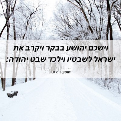 Picture 06 - יהושע 7:16 HEB - וישכם יהושע בבקר ויקרב את - Bible Verse Picture
