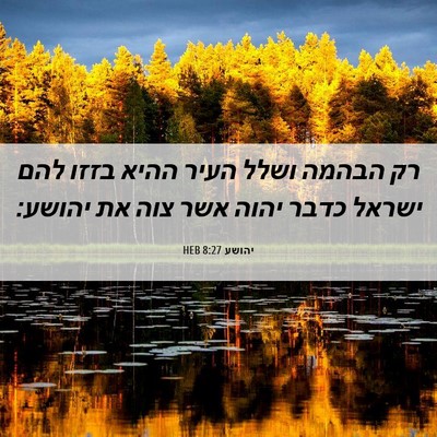 Picture 06 - יהושע 8:27 HEB - רק הבהמה ושלל העיר ההיא - Bible Verse Picture