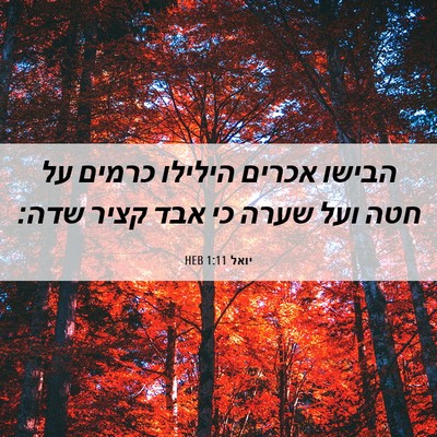 Picture 06 - יואל 1:11 HEB - הבישו אכרים הילילו כרמים - Bible Verse Picture