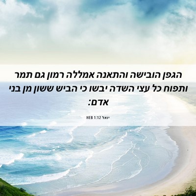 Picture 06 - יואל 1:12 HEB - הגפן הובישה והתאנה אמללה - Bible Verse Picture
