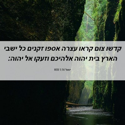 Picture 06 - יואל 1:14 HEB - קדשו צום קראו עצרה אספו - Bible Verse Picture