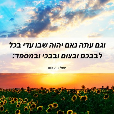 Picture 06 - יואל 2:12 HEB - וגם עתה נאם יהוה שבו עדי - Bible Verse Picture