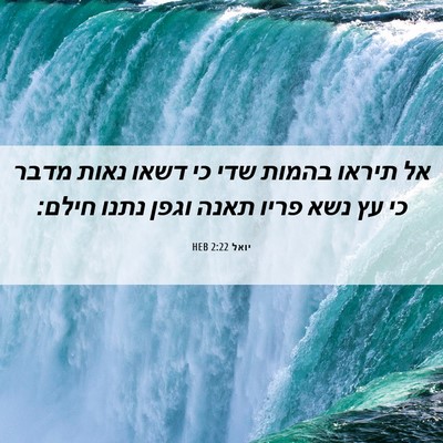 Picture 06 - יואל 2:22 HEB - אל תיראו בהמות שדי כי דשאו - Bible Verse Picture