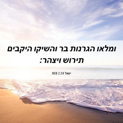 Picture 06 - יואל 2:24 HEB - ומלאו הגרנות בר והשיקו - Bible Verse Picture