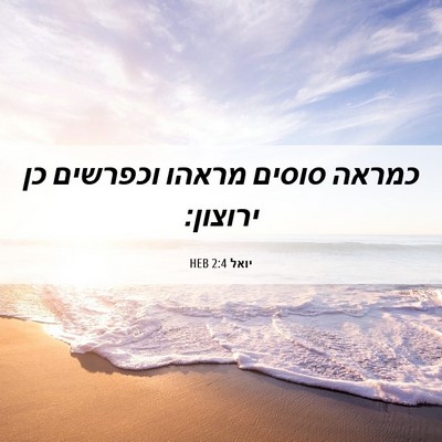 Picture 06 - יואל 2:4 HEB - כמראה סוסים מראהו וכפרשים - Bible Verse Picture