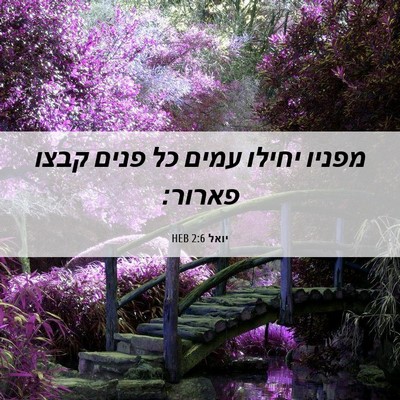 Picture 06 - יואל 2:6 HEB - מפניו יחילו עמים כל פנים - Bible Verse Picture