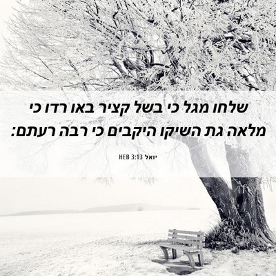 Picture 06 - יואל 3:13 HEB - שלחו מגל כי בשל קציר באו - Bible Verse Picture