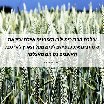 Picture 06 - יחזקאל 10:16 HEB - ובלכת הכרובים ילכו האופנים - Bible Verse Picture