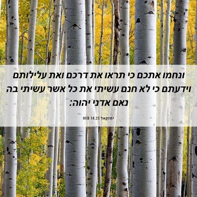 Picture 06 - יחזקאל 14:23 HEB - ונחמו אתכם כי תראו את דרכם - Bible Verse Picture