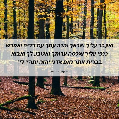 Picture 06 - יחזקאל 16:8 HEB - ואעבר עליך ואראך והנה עתך - Bible Verse Picture
