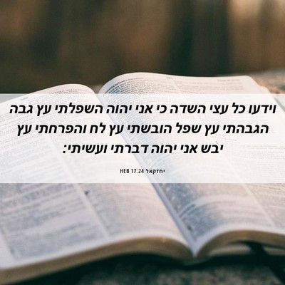 Picture 06 - יחזקאל 17:24 HEB - וידעו כל עצי השדה כי אני - Bible Verse Picture