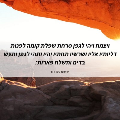 Picture 06 - יחזקאל 17:6 HEB - ויצמח ויהי לגפן סרחת שפלת - Bible Verse Picture