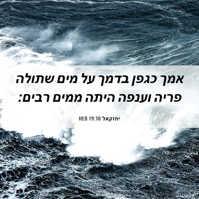 Picture 06 - יחזקאל 19:10 HEB - אמך כגפן בדמך על מים שתולה - Bible Verse Picture