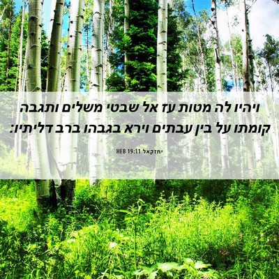 Picture 06 - יחזקאל 19:11 HEB - ויהיו לה מטות עז אל שבטי - Bible Verse Picture