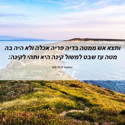 Picture 06 - יחזקאל 19:14 HEB - ותצא אש ממטה בדיה פריה אכלה - Bible Verse Picture
