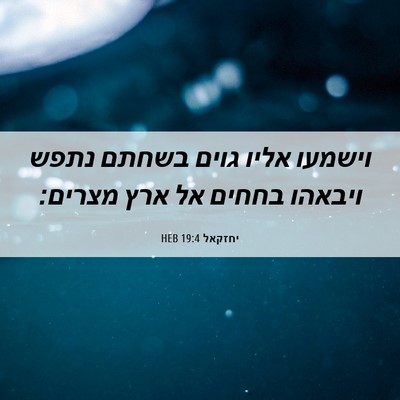 Picture 06 - יחזקאל 19:4 HEB - וישמעו אליו גוים בשחתם - Bible Verse Picture