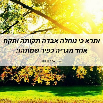 Picture 06 - יחזקאל 19:5 HEB - ותרא כי נוחלה אבדה תקותה - Bible Verse Picture