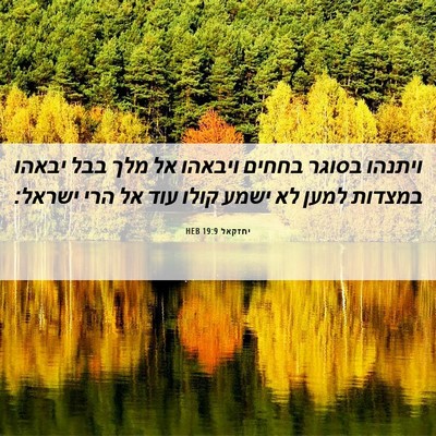 Picture 06 - יחזקאל 19:9 HEB - ויתנהו בסוגר בחחים ויבאהו - Bible Verse Picture